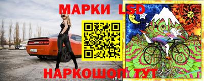 PSILOCYBIN Кулебаки
