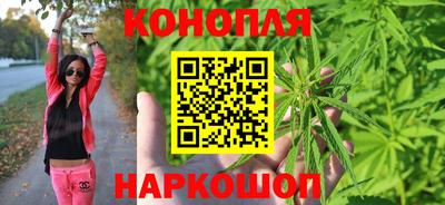 PSILOCYBIN Кулебаки