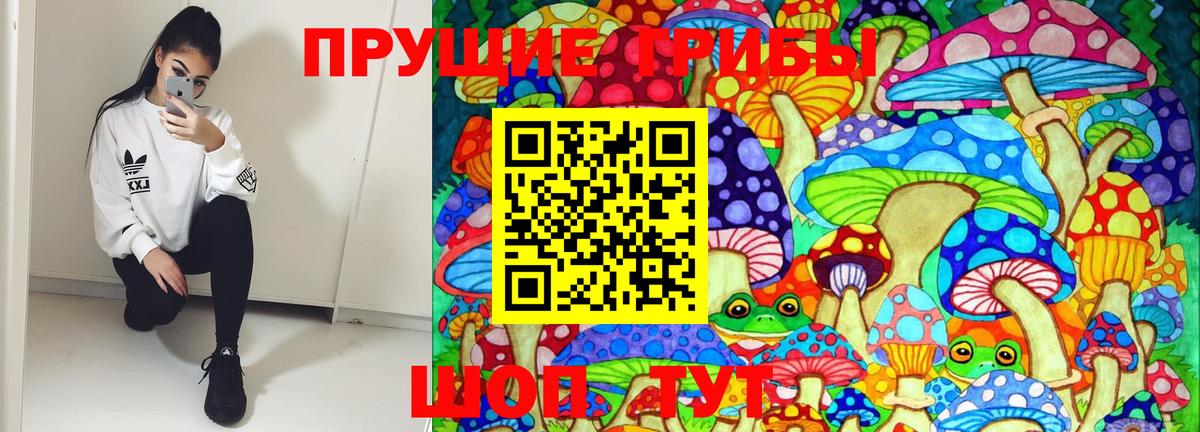 Кыштым  Галлюциногенные грибы GOLDEN TEACHER  Вход с VPN 