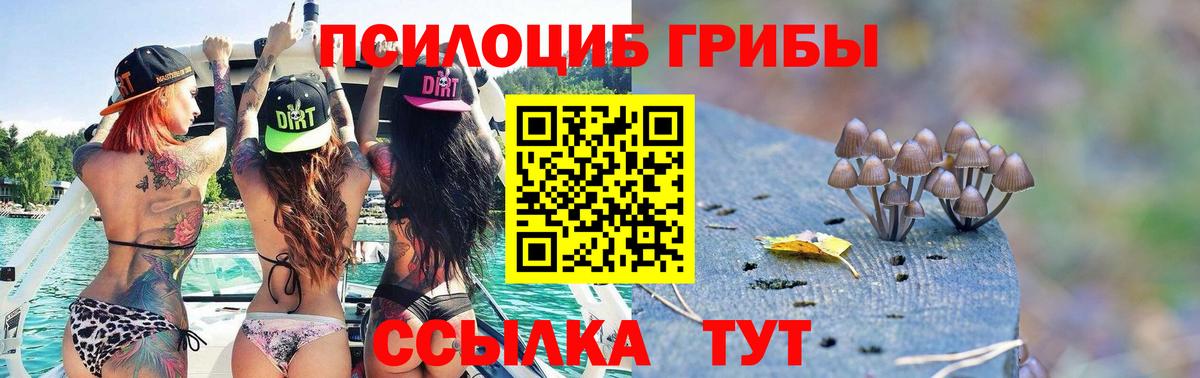 Псилоцибиновые грибы ЛСД Кыштым